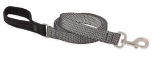 1in Granite 4ft Leash