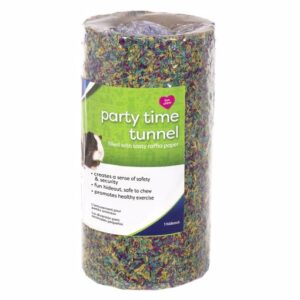 PARTY TIME TUNNEL SM AN TOY