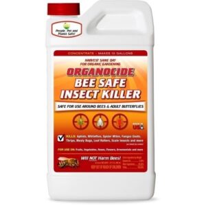 OL BEE SAFE INSECT KILL QT CONC