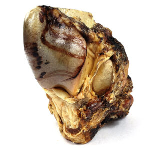BISON KNUCKLE BONE XL