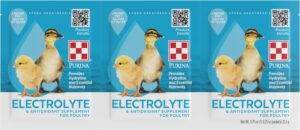 PUR CHICK PROBIOTIC 3PK