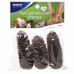 GO CAT GO PINECONE CHEW TOY