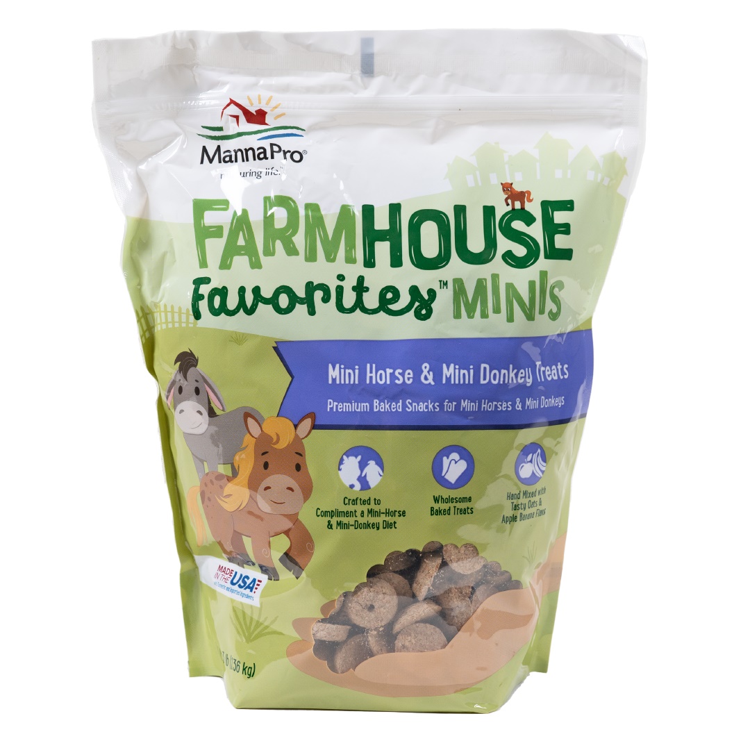 FARMHOUSE MINI HORSE DONKEY 3#