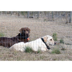 WELDED WIRE 2X4 36X100