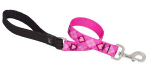 1in Puppy Love 2ft Leash