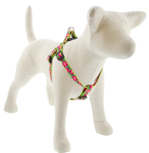 3/4" PETUNIAS 20-30 STEP IN HRNS