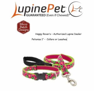 1in Petunias 4ft Leash