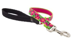 1in Petunias 2ft Leash