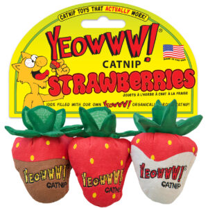 YEOWW STRAWBERRY TOY 3PK