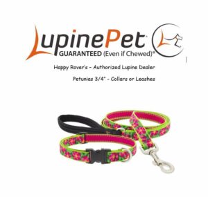 3/4in Petunias 4ft Leash