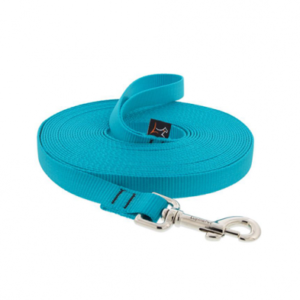 3/4in Aqua 30ft Training Leash