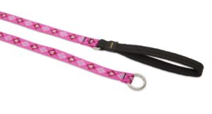 3/4in Puppy Love 6ft Slip Leash