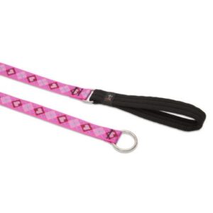 1in Puppy Love 6ft Slip Leash