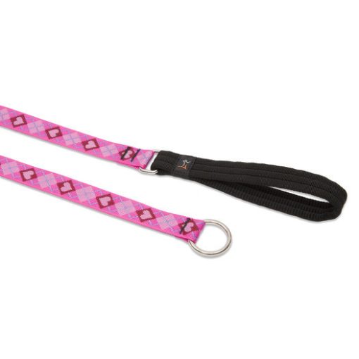 1in Puppy Love 6ft Slip Leash