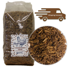 NCO GRUBS 3.5# CHICKEN DANCE