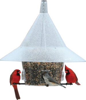SQUIRREL PROOF BIRD FEEDER 7LB
