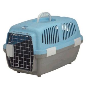 AE HAPPY BEAKS BLOCK CRAZE LG