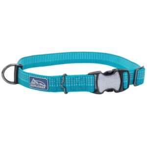 COASTAL K9 OCE18 COLLAR