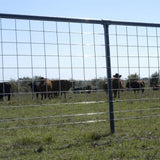 CATTLE PANEL COMBO 50X16FT