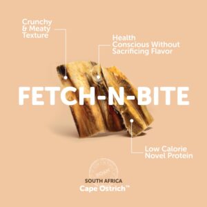 ROAM OSSY BABY BACKS 2PK