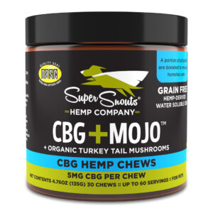 SHEMP CBG+MOJO SHROOM 30CT
