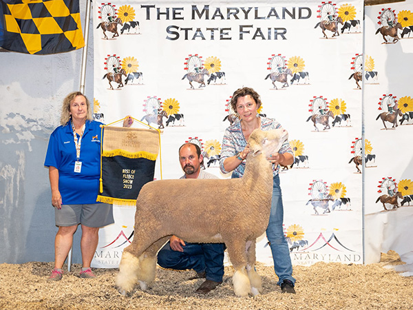 sheep showing winner in show feed and supplies