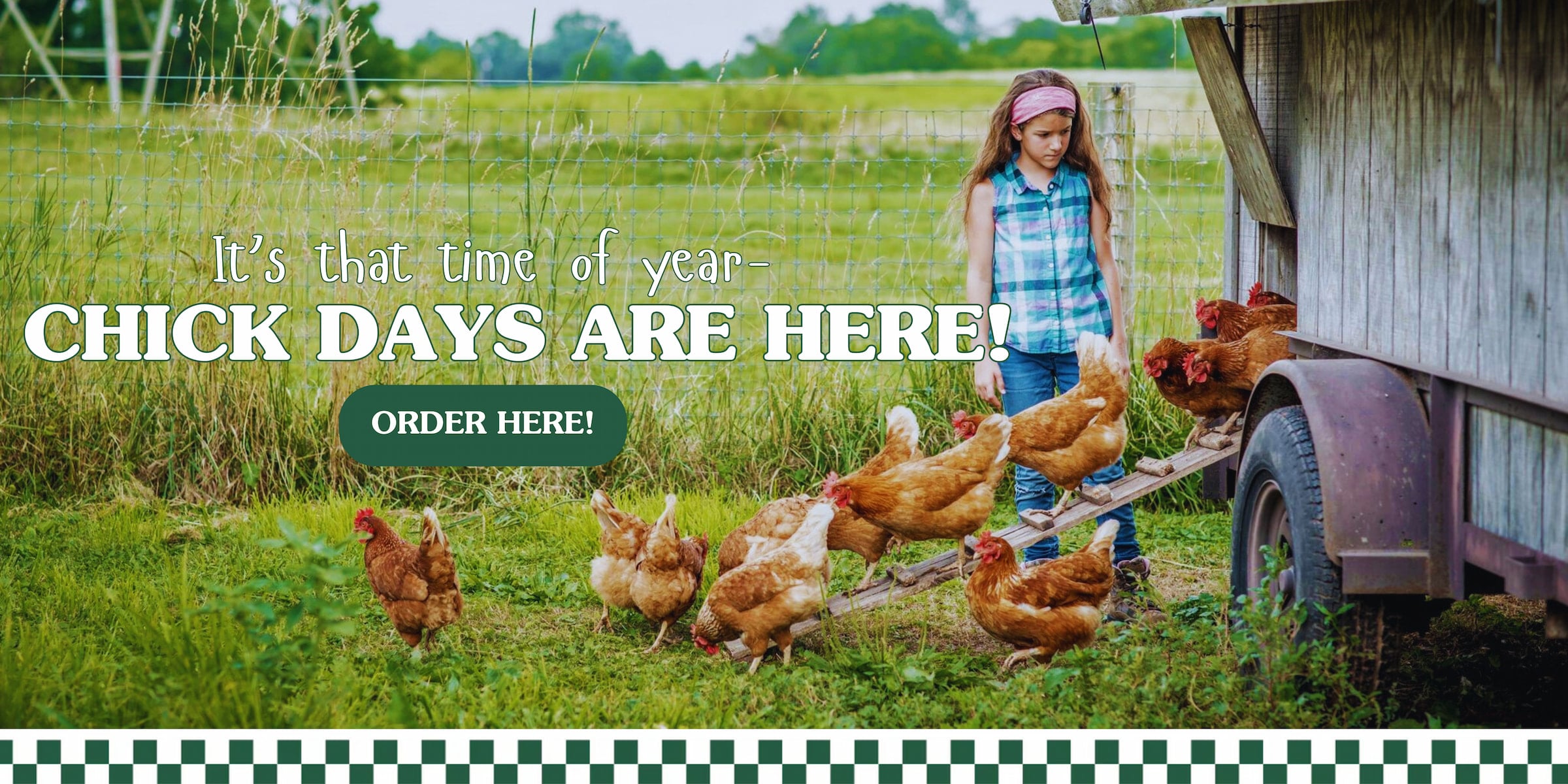 It's Time for Chick Days at The Mill In Germansville.