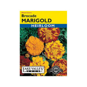 LAKEVALLEY SEED PACKET FLOWER