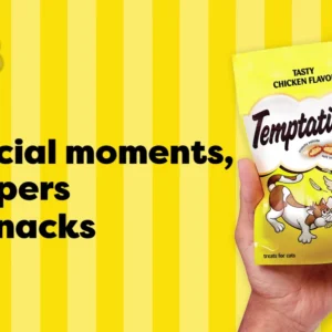 TEMPTATION CHICKEN 6.3LB