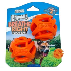 CHUCKIT SNIFF FETCH BCN MD BALL