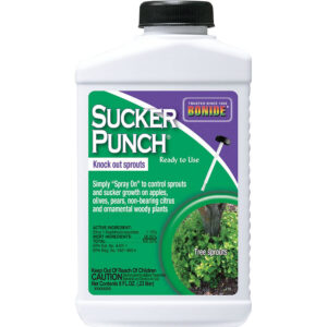 SUCKER PUNCH RTU 8OZ BONIDE