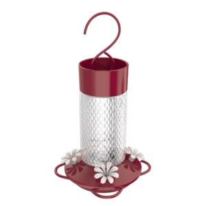 CHARM CHERRY GLASS HUMM FDR 13OZ