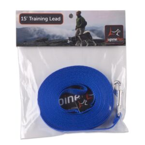 1/2in Blue 15ft Training Leash