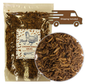 NCO GRUBS 1.5# CHICKEN DANCE