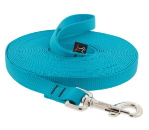 3/4in Aqua 15ft Training Leash