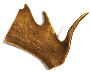 ANTLER DEER LARGE PADDLE