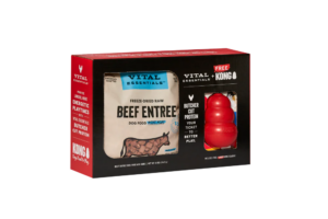 VE MINI NIBS BEEF/KONG LG BOX