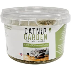 CATNIP 1.5OZ