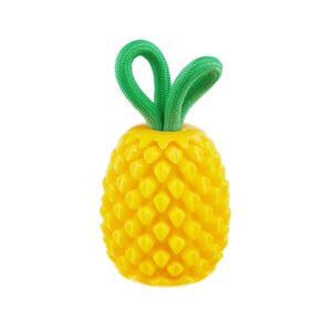 OH PINEAPPLE TNT LG