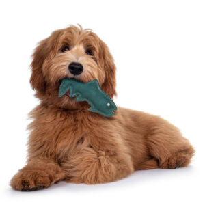 DURA FUSE LEATHER FISH ASST 7"