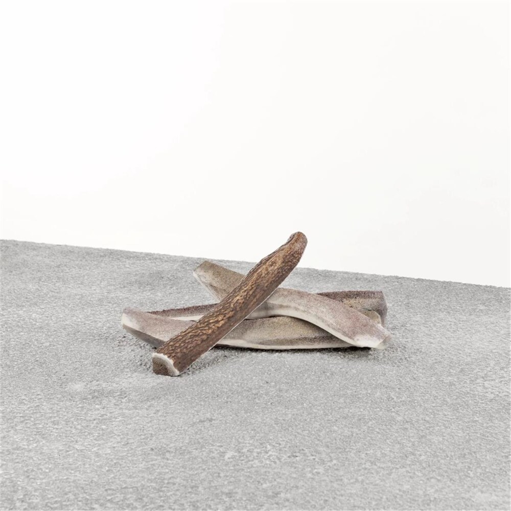 PRIMAL D STAG ANTLER LARGE