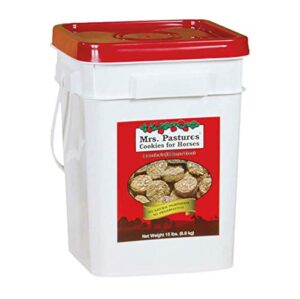 MRS PASTURES HORSE COOKIE 15LB
