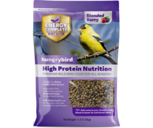 HB NON GMO SUET 12OZ