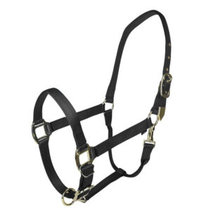 HALTER GATSBY GOLD NYLON HORSE