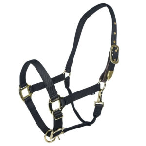 HALTER GATSB GOLD SAFETY PONY