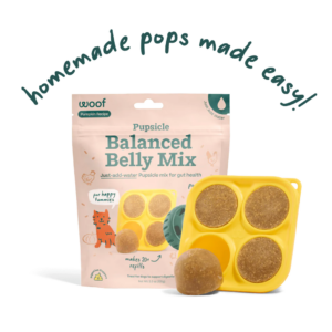 PUPSICLE MIX 5.5OZ