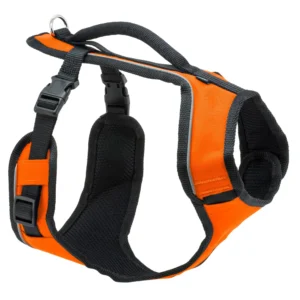 EASYSPORT HARNESS MED TEAL