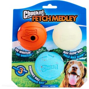 CHUCKIT FETCH BALL MD 3CT