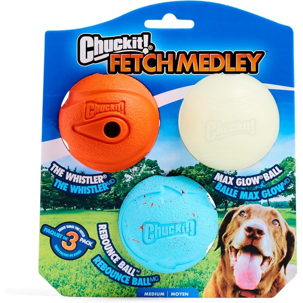 CHUCKIT FETCH BALL MD 3CT