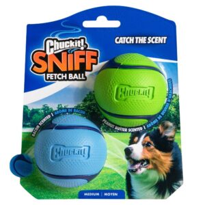 CHUCKIT SNIFF FETCH BALL MD 2PK